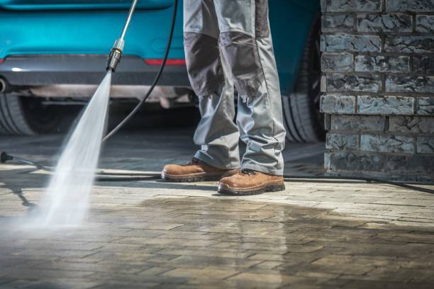 Best Dumpster Area Cleaning  in Loughman, FL
