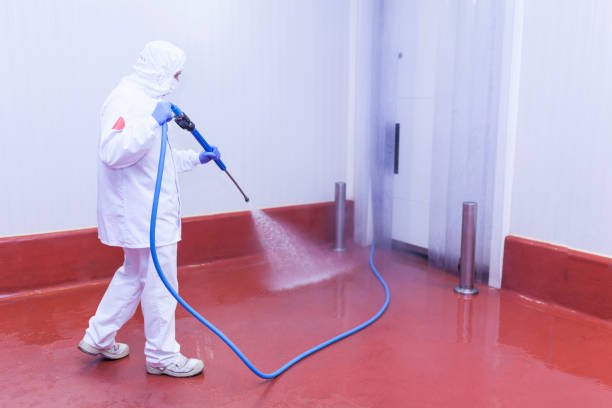 Best Soft Washing  in Loughman, FL