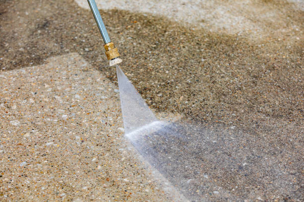 Best Sidewalk and Walkway Cleaning  in Loughman, FL