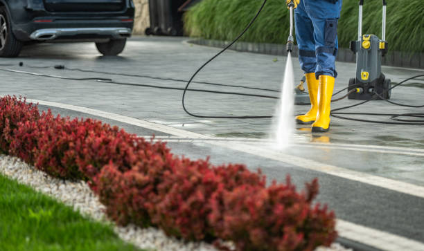 Best Fleet Vehicle Washing  in Loughman, FL